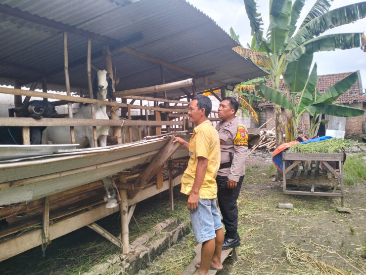Bhabinkamtibmas Desa Gamping Tinjau Ternak Kambing Dukung Ketahanan Pangan