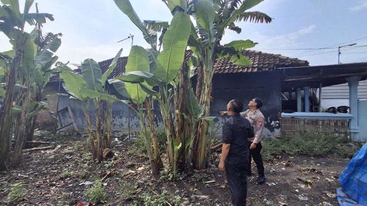 Warga Desa Popoh Manfaatkan Lahan Kosong untuk Tanaman Pisang, Dukung Program Ketahanan Pangan Bergizi