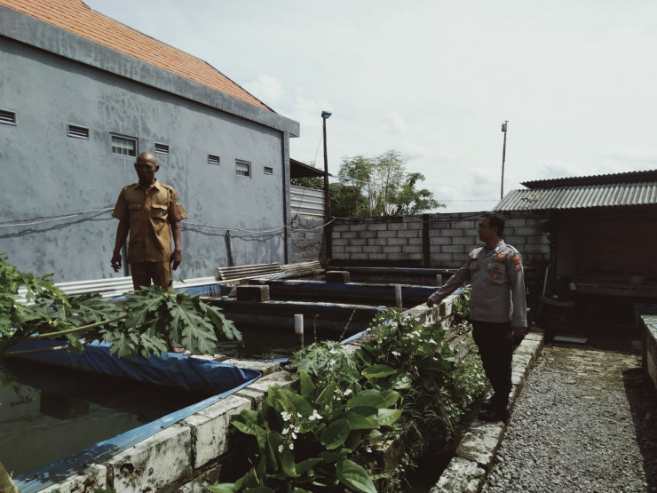 Polresta Sidoarjo | Sebanyak 20 Petak Kolam Ikan Lele Warga Desa Durungbedug Candi, Siap Topang Ketahanan Pangan