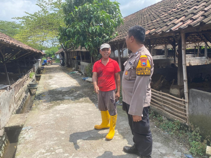 POLRESTA SIDOARJO | Bhabinkamtibmas Desa Kebonsari Tinjau Program Ketahanan Pangan Peternakan Bebek Petelur