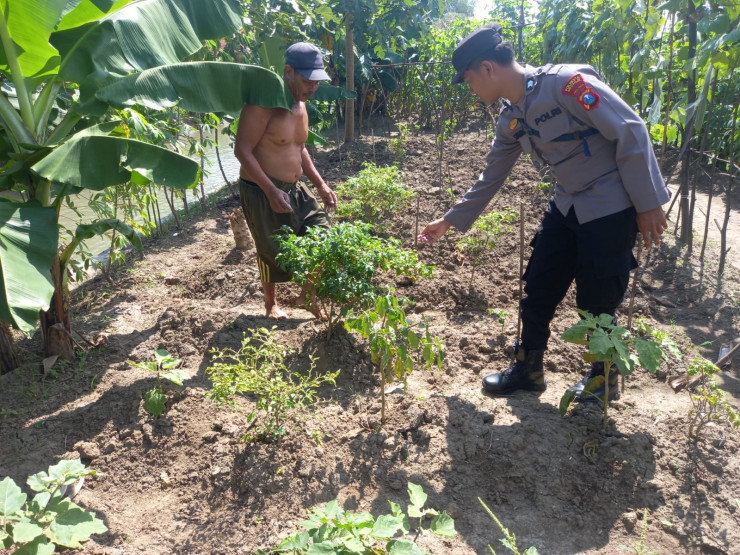 POLRESTA SIDOARJO  | Bhabinkamtibmas Polsek Krembung Berikan Motivasi Warga Olah Lahan Produktif untuk Ketahanan Pangan